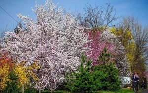 Bài tham dự sân chơi viết Chuyến xe mùa xuân: Xuân trôi qua ô cửa kính- Ảnh 2.