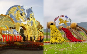 Cánh đồng hoa ở Đắk Lắk có gì khiến các 'nàng thơ' chen chúc check-in dịp Tết này?- Ảnh 12.