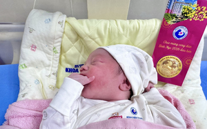 Over 2,000 babies born in Vietnam on second day of Tet- Ảnh 2.