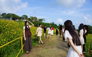 Cánh đồng hoa lay ơn Đà Lạt nở rộ, dân tình rủ nhau đến check-in- Ảnh 7.