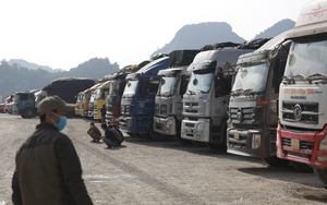 Vietnam delays new food safety rules until mid-April, easing congestion at border gates- Ảnh 2.