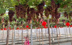 Độc đáo lễ hội Tống phong hút hàng trăm người tham dự tại Cần Thơ - Ảnh 5.