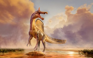 Dinosaur collagen used to create one-of-a-kind handbag - Ảnh 4.