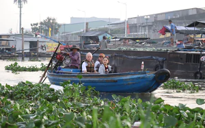 River life, garden treats, chocolate making in Vietnam's Can Tho charm local, int'l visitors - Ảnh 7.
