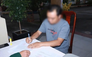 Da Nang airport to install intrusion alerts, bird repellent systems - Ảnh 5.