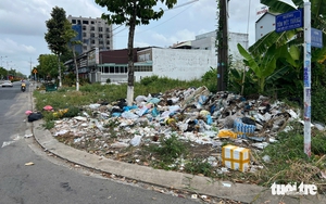 Trash piles persist across Ho Chi Minh City ward despite cleanup efforts - Ảnh 12.