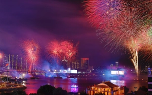 Hội hoa xuân TP.HCM lần thứ 46 năm 2026 đã sẵn sàng- Ảnh 2.