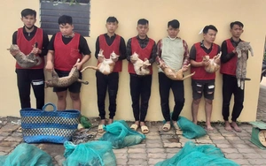 In Ho Chi Minh City, stolen cats reunited with owners as foreigners, local residents donate supplies- Ảnh 10.