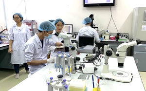 UEH xây hệ sinh thái học thuật quốc tế, thu hút 100 học giả toàn cầu - Ảnh 3.