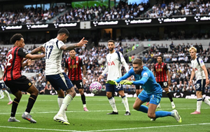 Tottenham đấu Sunderland: Mong chờ vào tài dẫn dắt của huấn luyện viên mới De Zerbi- Ảnh 2.
