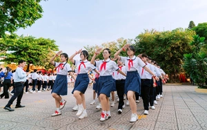 Hướng dẫn thực hiện Nghi thức Đội: Lễ kết nạp đội viên và các nghi lễ của Đội - Ảnh 3.