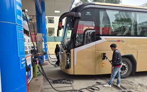 Rising fuel, fertilizer prices worry farmers in Vietnam’s Mekong Delta- Ảnh 2.