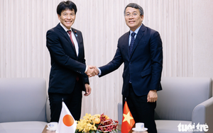 Foreign Minister receives Japanese officials in Hue - Ảnh 1.