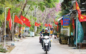 Early voting completed in Vietnam’s Truong Sa - Ảnh 2.