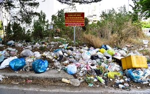 Waste piles up along Da Nang’s Son Tra coastal streets - Ảnh 10.
