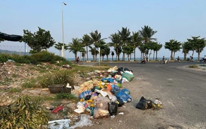 Vietnam police arrest suspect over illegal dumping of 500 tonnes of waste - Ảnh 4.