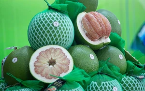 Vietnam ships 1st batch of fresh pomelos to Australia- Ảnh 3.