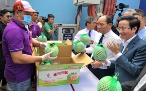 Australia seeks Vietnam market access for kangaroo meat, lychee - Ảnh 2.