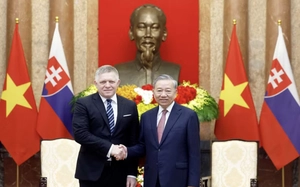 Ho Chi Minh City, Slovakia aim to strengthen cooperation in key sectors - Ảnh 1.