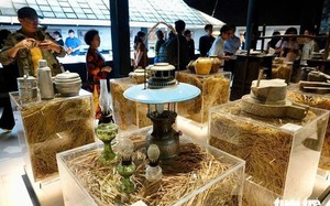 Da Nang proposes entrance fees for major museums- Ảnh 3.