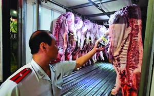 Hanoi slaughterhouse shut down after 300-tonne diseased pork scandal - Ảnh 8.
