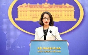 Vietnam's Foreign Ministry rejects reports of Vietnamese ship being attacked near Strait of Hormuz as false - Ảnh 3.