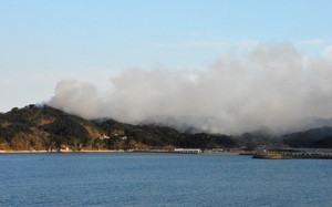 Iwate town declares forest fire under control on 11th day- Ảnh 2.