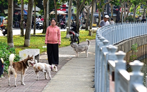 China's pet owners splurge on preschools to pamper puppies- Ảnh 4.