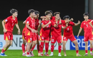 Cổ động viên Đông Nam Á an ủi U17 Việt Nam sau trận thua Úc- Ảnh 2.