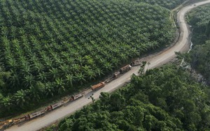 Indonesia passes bill expanding central bank role to spur growth- Ảnh 2.