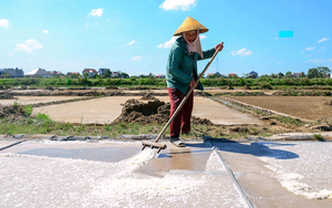 Outdoor workers in Vietnam’s major cities face growing burden from climate change- Ảnh 7.