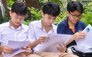 Gợi ý bài làm môn văn thi lớp 10 Hà Nội - Ảnh 3.