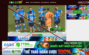 Multiple pirate websites shut down in Vietnam after government begins crackdown- Ảnh 4.