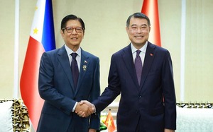 Vietnam, Sri Lanka elevate relations to Comprehensive Partnership - Ảnh 7.