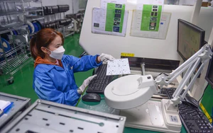 Thai industrial giant WHA plans $105mn industrial park in Da Nang- Ảnh 3.