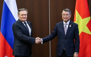 Vietnam, Russia seek stronger industrial cooperation to achieve $10bn trade target - Ảnh 3.