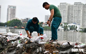 QTSC in Ho Chi Minh City digitizes nearly 1,800 trees for smart management- Ảnh 3.