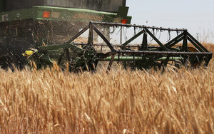 India likely won't export sugar for years as El Nino, ethanol squeeze supply - Ảnh 2.
