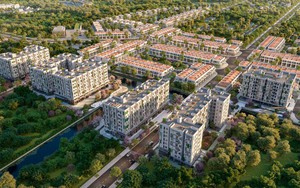 Ho Chi Minh City greenlights largest-ever social housing development - Ảnh 3.