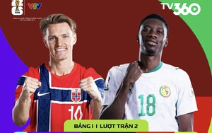 Đội hình ra sân của Na Uy và Senegal: Haaland đá chính - Ảnh 2.