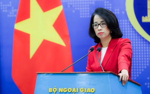 Over 5,000 join mass solidarity walk in Ho Chi Minh City to support AO victims- Ảnh 6.