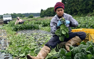 Explainer: Why people are talking about reducing working hours in Vietnam- Ảnh 6.