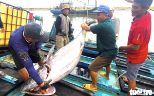 Vietnam exporters urged to strengthen origin traceability amid US transshipment crackdown- Ảnh 2.