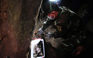 US supports Vietnam in accelerating identification of martyrs' remains - Ảnh 4.