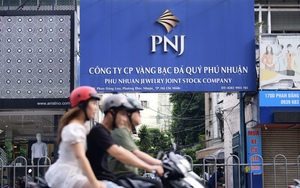 Another foreign fund group exits substantial shareholder position in Vietnamese jeweler PNJ- Ảnh 3.