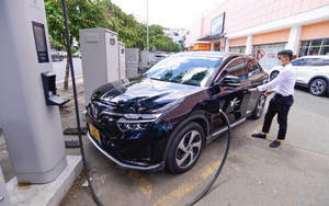 Ho Chi Minh City public sector urged to lead EV adoption - Ảnh 2.