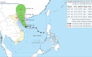 Storm Maysak enters Gulf of Tonkin, heading toward Vietnam’s Quang Ninh- Ảnh 2.