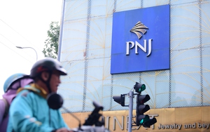 Vietnamese jeweler PNJ to hold extraordinary shareholders’ meeting amid market challenges- Ảnh 2.