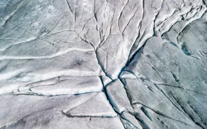 Can sheep save the glaciers? Swiss scientists put wool to the test- Ảnh 4.