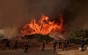 As Europe bakes, momentum grows for climate-resilient farming - Ảnh 6.
